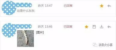 石家庄水果最新爆料微博,品种丰富,价格亲民,快来尝鲜!  第3张 石家庄水果最新爆料微博,品种丰富,价格亲民,快来尝鲜!  第3张