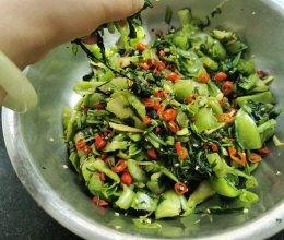 腌菜做法爆料大全视频,视频揭秘腌菜做法大全  第3张 腌菜做法爆料大全视频,视频揭秘腌菜做法大全  第3张