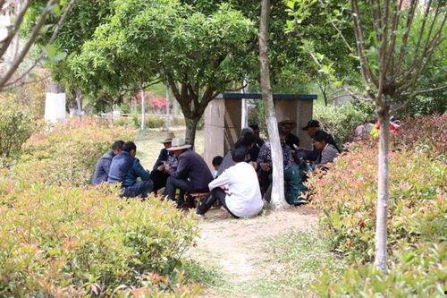 威宁动态爆料最新消息,揭秘事件背后真相  第2张 威宁动态爆料最新消息,揭秘事件背后真相  第2张