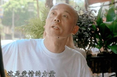 梁朝伟爆料丁克视频全集,视频全集深度解析  第3张 梁朝伟爆料丁克视频全集,视频全集深度解析  第3张