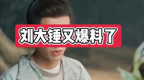 刘大锤最新爆料包贝尔,真相究竟如何?  第3张 刘大锤最新爆料包贝尔,真相究竟如何?  第3张