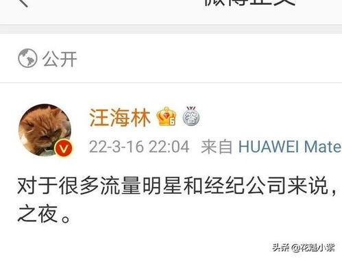 爆料娱乐圈的瓜,揭秘明星背后的惊人真相  第3张 爆料娱乐圈的瓜,揭秘明星背后的惊人真相  第3张