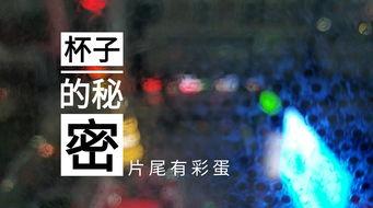 苏州酒店爆料视频最新版,揭秘奢华背后的惊人真相  第2张 苏州酒店爆料视频最新版,揭秘奢华背后的惊人真相  第2张