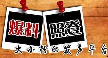 丰顺新闻爆料,揭秘当地热点事件背后的真相  第2张 丰顺新闻爆料,揭秘当地热点事件背后的真相  第2张