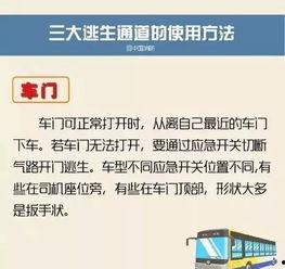 阳江今日爆料最新消息查询,揭秘今日热点事件真相  第3张 阳江今日爆料最新消息查询,揭秘今日热点事件真相  第3张
