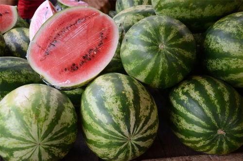 康县网红怎么吃瓜,康县网红教你如何品尝地道瓜果美味  第3张 康县网红怎么吃瓜,康县网红教你如何品尝地道瓜果美味  第3张